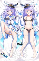 版本1